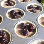 Blackberry Cobbler Muffins