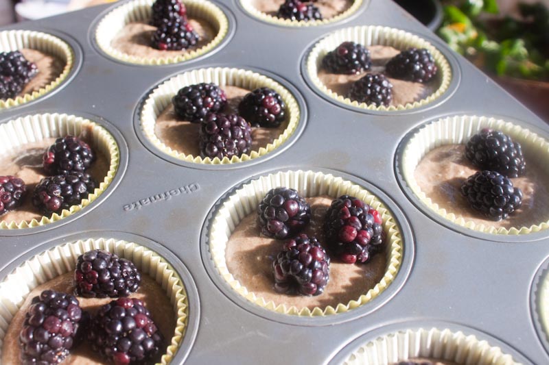 blackberry cobbler muffins
