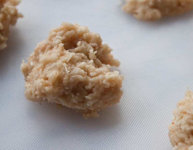 peanut butter coconut candy